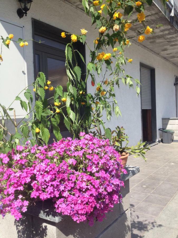 La Magnolia Lägenhet Riccò del Golfo di Spezia Exteriör bild