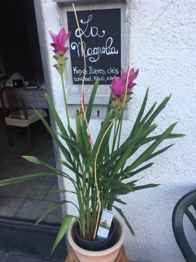 La Magnolia Lägenhet Riccò del Golfo di Spezia Exteriör bild