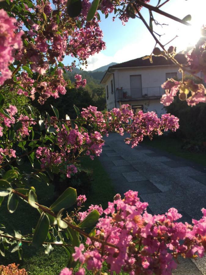 La Magnolia Lägenhet Riccò del Golfo di Spezia Exteriör bild