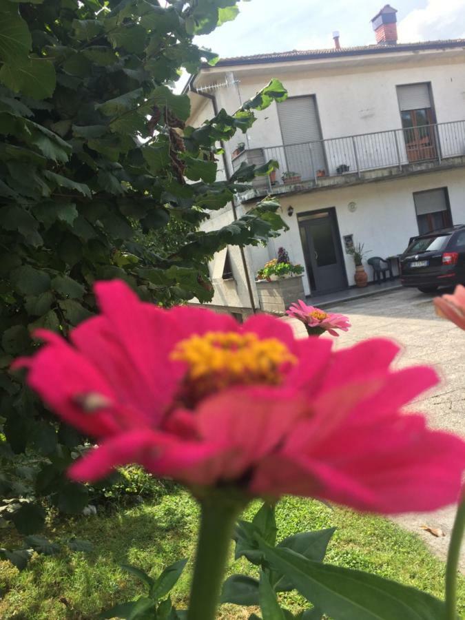 La Magnolia Lägenhet Riccò del Golfo di Spezia Exteriör bild